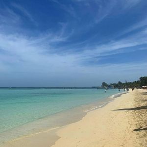 Meet your Posher, Queen